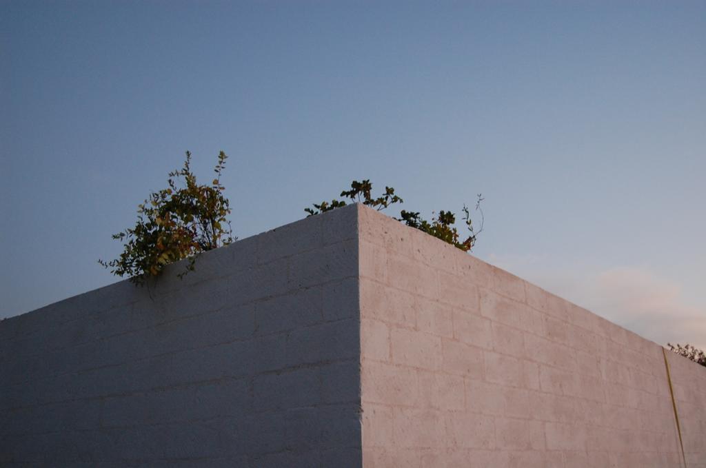 Calcebianca Bed and Breakfast Ostuni Exteriör bild